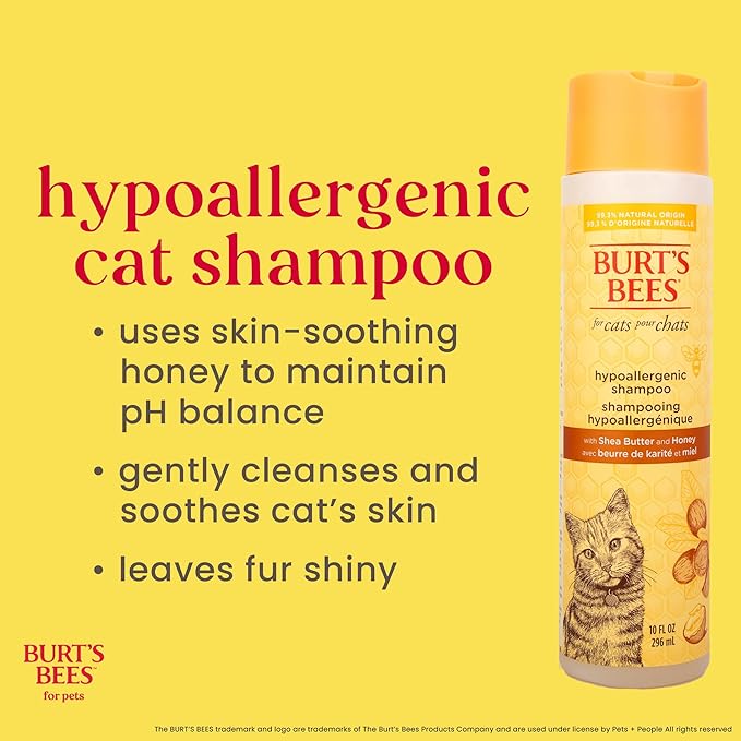 BURT'S BEES FOR PETS Hypoallergenic Cat Shampoo with Shea Butter and Honey, Gentle Kitten Shampoo for Indoor Cats with Dry or Sensitive Skin, Cat Bathing Supplies, 10 Fl Oz - 2 Pack