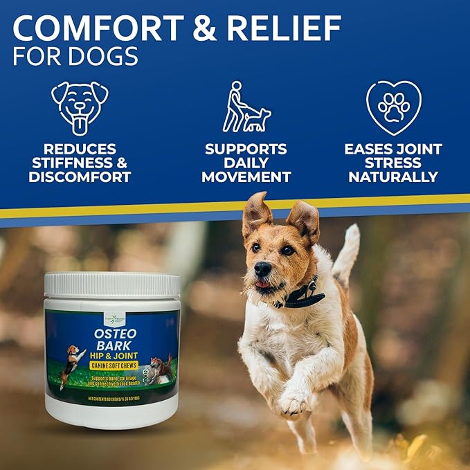 Osteo Bark Hip & Joint Canine Soft Chews, 60 Count, Bone and Joint Support for All Dog Breeds - Glucosamine & Chondroitin Chews with MSM - Pain, Inflammation, Arthritis