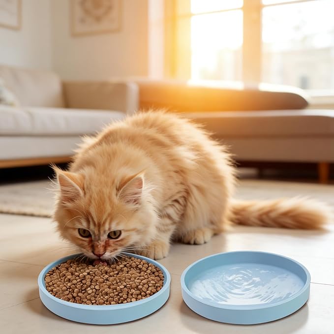 Silicone Dog Bowl Shallow Cat Food Bowls, 6 Inch Wide Cat Bowls Whisker Friendly, No Spill Less Mess Dog Plates for Dry and Wet Food, Set of 2 Puppy Bowls for Small Dogs and Cats