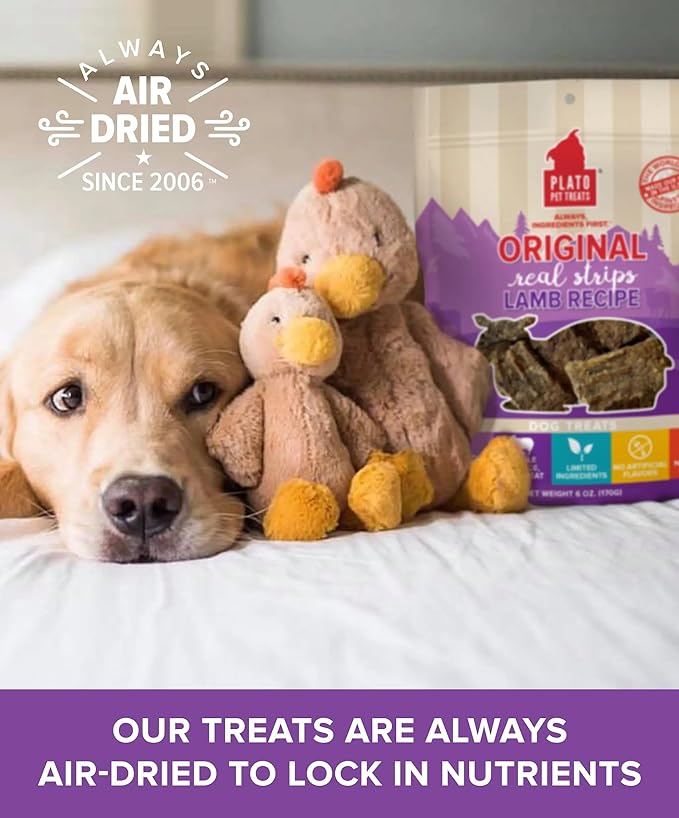 PLATO Pet Treats Real Strips Dog Treats – Lamb – Air-Dried High Protein Dog Treats – Limited Ingredient, Nutrient Dense, No Artificial Flavours– Made in USA – 6 oz