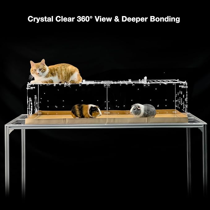 GuineaLoft™ Model-A1 Acrylic Cage with Crystal Clear Rooftop (48"x24"x12") - Protective Small Animal Habitat for Guinea Pigs, Rabbits & Hedgehogs - Includes Disposable Bottoms