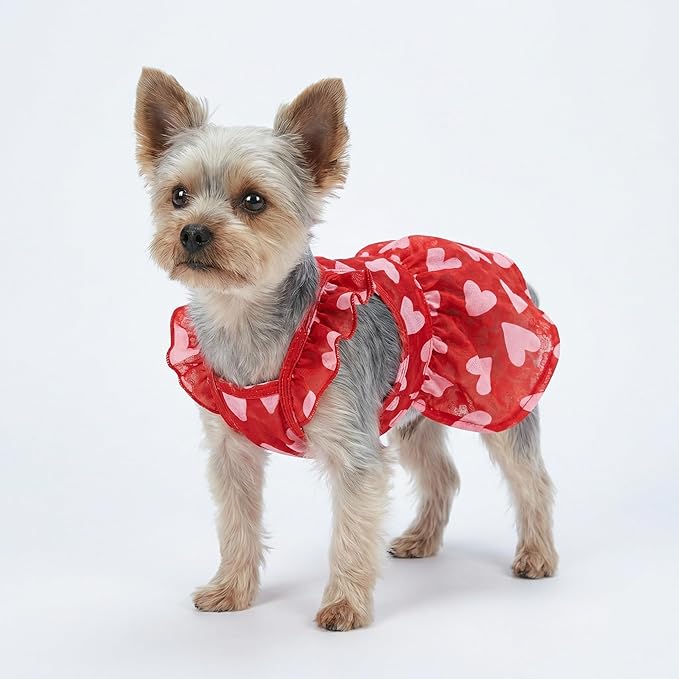 Fitwarm Valentine's Day Sweet Heart Dog Dress, Dog Holiday Outfit, Red, Pink, Medium