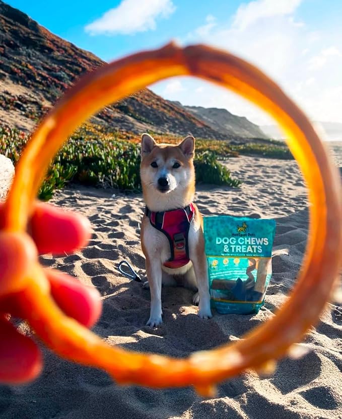 hotspot pets Bully Stick Rings for Dogs - Premium All Natural Long Twisted Beef Pizzle Dog Chew Treats - Grain Free Fully Digestible Rawhide Alternative 50 Count