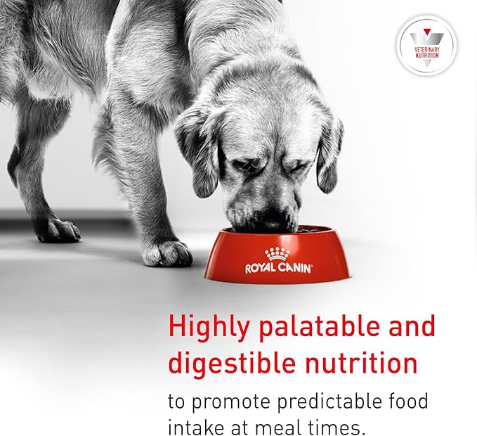 Royal Canin Veterinary Diet Canine Glycobalance Adult Loaf in Sauce Dog Food, 13.4 oz (Pack of 24)