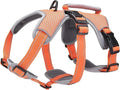 BELPRO Multi-Use Support Dog Harness, Escape Proof No Pull Reflective Adjustable Vest with Durable Handle, Dog Walking Harness for Big/Active Dogs (Orange, M)