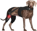 Dog Knee Brace for Torn ACL Hind Legs with Vest, Adjustable Dog Leg Brace with 4 Stabilizers, Hip Support to Reduce Pain, CCL Tear Recovery & Arthritis Ligament Injuries & Luxating Patella (XX-Large)