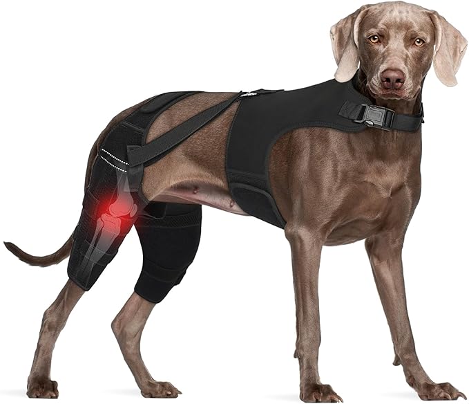 Dog Knee Brace for Torn ACL Hind Legs with Vest, Adjustable Dog Leg Brace with 4 Stabilizers, Hip Support to Reduce Pain, CCL Tear Recovery & Arthritis Ligament Injuries & Luxating Patella (XX-Large)