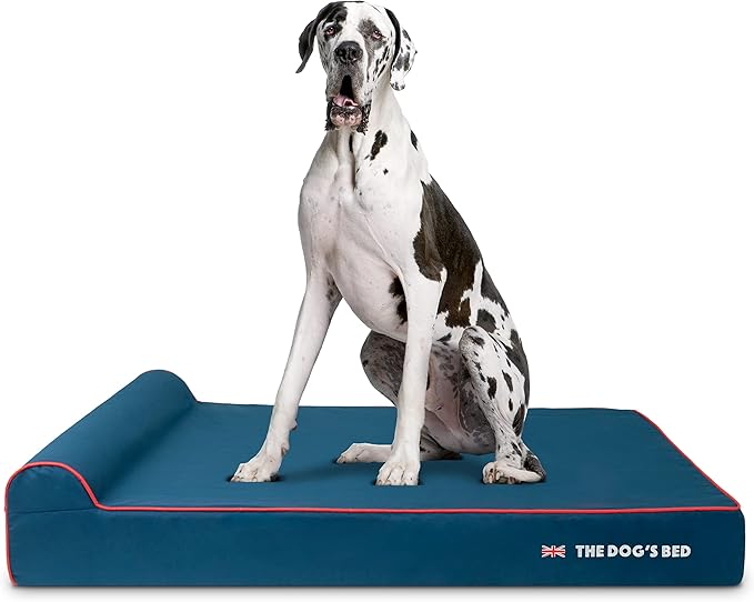 The Dog’s Bed Orthopedic Memory Foam Dog Bed with Headrest, Calming Surface – CertiPUR-Certified Foam, Oxford Fabric, Blue with Red Trim UK Flag, XXL, 6-Inch