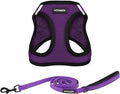 Voyager Step-in Air All Weather Mesh Harness and Reflective Dog 5 ft Leash Combo with Neoprene Handle, for Small, Medium and Large Breed Puppies by Best Pet Supplies - Purple, Small