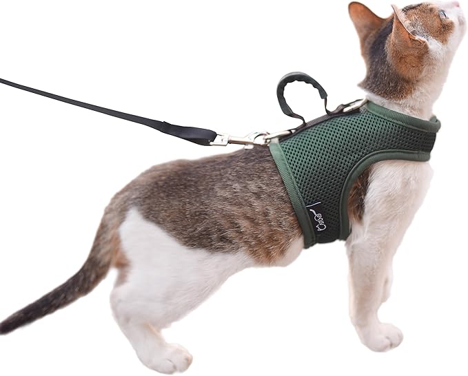 Kitty Harness and Leash for Walking Escape Proof Breathable Mesh Fabric, Solid Green, X-Small, Adjustable Cat Walking Jackets with Handle, Padded Stylish Cat Vest