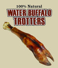 QT Dog Water Buffalo Trotter - Long-Lasting 100% Natural Single Ingredient Dog Chew - Ethically Sourced, Protein-Packed & Low Fat Bone - Ideal for Medium to Large Breeds & Aggressive Chewers