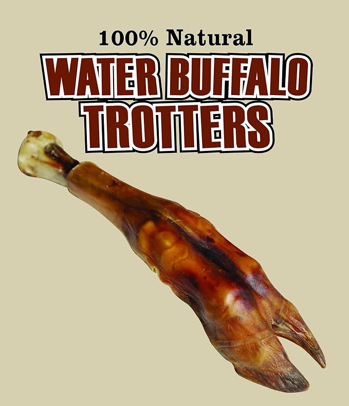 QT Dog Water Buffalo Trotter - Long-Lasting 100% Natural Single Ingredient Dog Chew - Ethically Sourced, Protein-Packed & Low Fat Bone - Ideal for Medium to Large Breeds & Aggressive Chewers