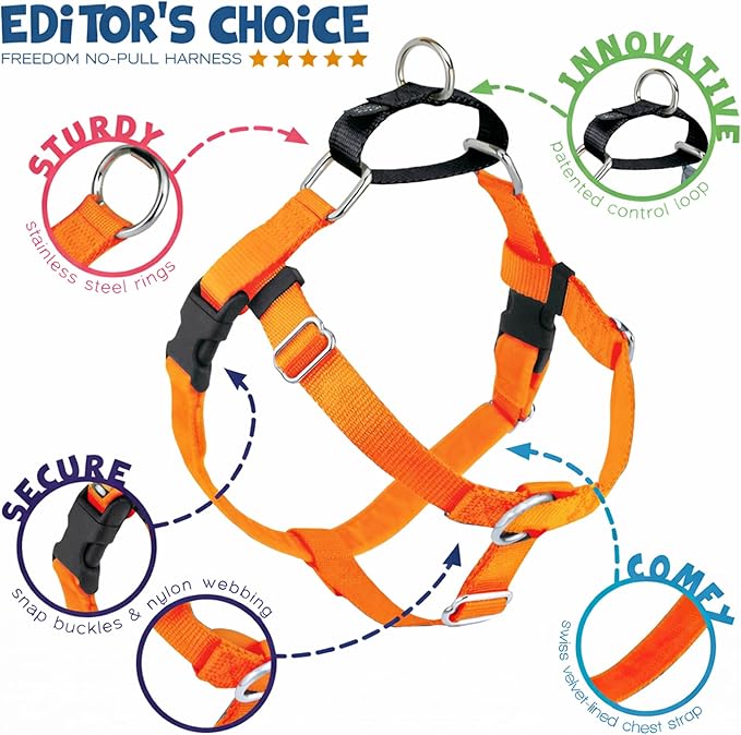 2 Hounds Design Freedom No Pull Dog Harness, Adjustable Harness, Easy Walking & Comfortable Control, Fits Small, Medium & Large Dogs, Solid Colors, Made in USA, 1" MD, Neon Organge