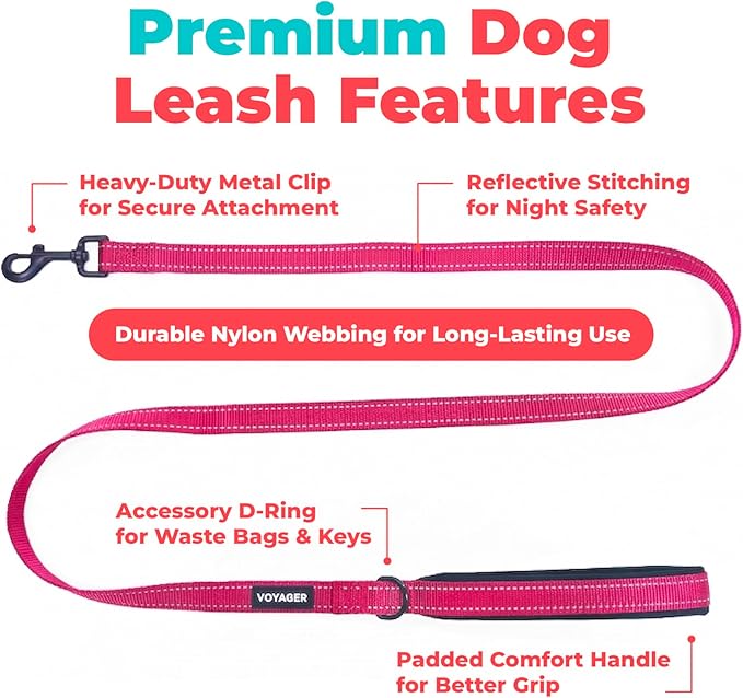 Best Pet Supplies Voyager Reflective Dog Leash or Collar with Neoprene Handle, for Small, Medium, and Large Breed Puppies, Cute and Heavy Duty for Walking, Running and Training - Fuchsia (Leash), M