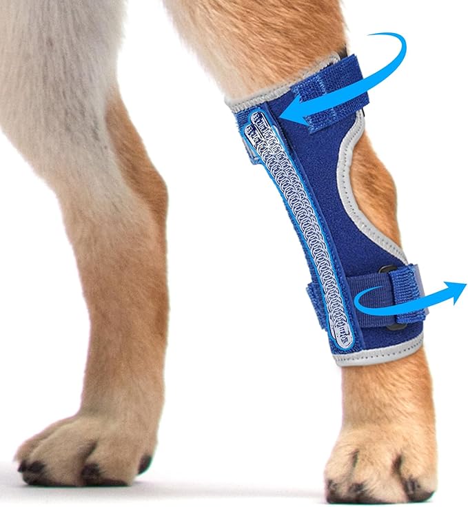 Supet Dog Leg Brace for Back Leg - Hock & Ankle Joint Support for Rear Legs with 2 Metal Springs, Anti-Slip Design & Reflective Trim for Sprain, Arthritis, Injury & Wound Recovery (Blue, L)