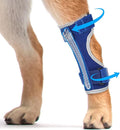 Supet Dog Leg Brace for Back Leg - Hock & Ankle Joint Support for Rear Legs with 2 Metal Springs, Anti-Slip Design & Reflective Trim for Sprain, Arthritis, Injury & Wound Recovery (Blue, 2XL)