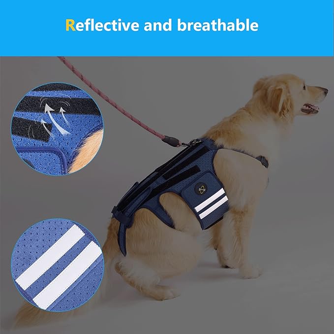 Coodeo Dog Back Brace for Dogs Arthritis, Pet Back Bracer for IVDD, Back Protector Helps Pain Relief, Surgical Recovery and Rehabilitation, Dogs Back Disease Prevention. (Blue,XX-Large)
