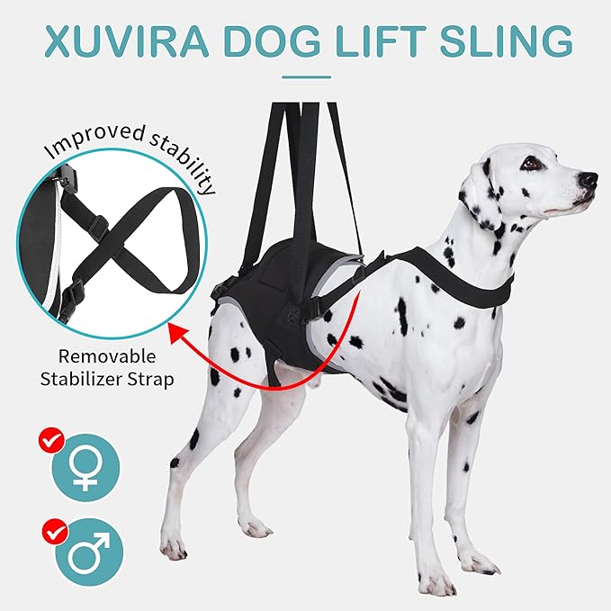 Dog Lift Harness - Post Surgery Support for Senior Dogs & Hip Dysplasia, Adjustable Sling for Small/Medium/Large Dogs, Potty-Friendly & No-Slip Design with Reflective Safety, XL
