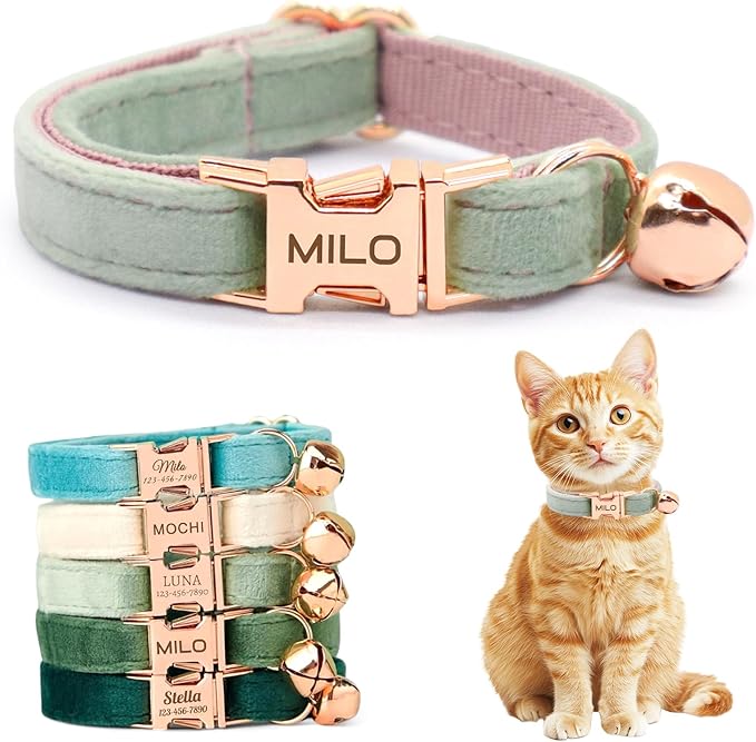 Personalized Non-Breakaway Cat Collar with Name, Luxury Soft Velvet Custom Engraved Name Collar with Bell for Kittens & Cats (Mint Green, L (7.5-12.5 inches))