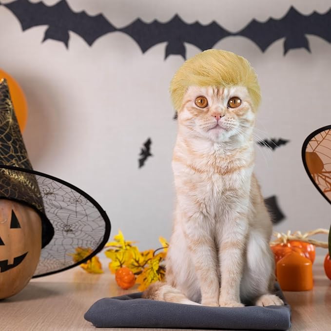 Pet Costume Dog Wig, Dog Clothes with Collar & Tie Head Wear Apparel Toy for Halloween, Christmas, Parties, Festivals (Cat Brown Wig)