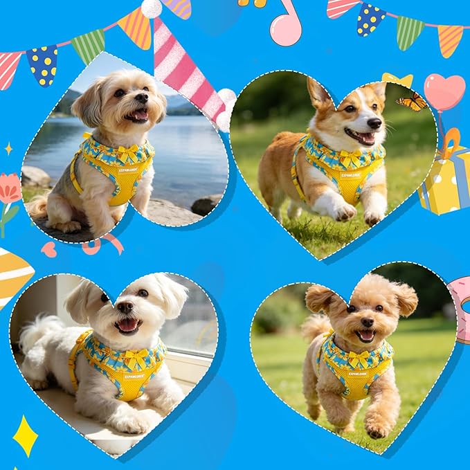 EXPAWLORER Cute Dog Harness Collar Leash Set - Blue Girl Dog Harness Checkered Step-in Design, Adjustable No-Choke Lightweight Mesh Vest for Cats Puppy Small Dogs, Daffodil M