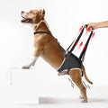 Dog Lift Harness - Post Surgery Support for Senior Dogs & Hip Dysplasia, Adjustable Sling for Small/Medium/Large Dogs, Potty-Friendly & No-Slip Design with Reflective Safety, XL