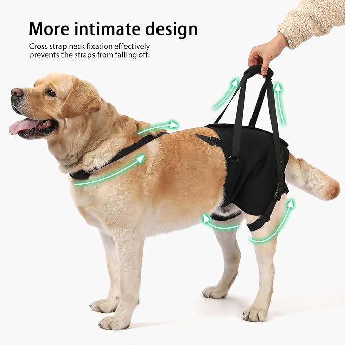NOYAL Supet Dog Lift Sling for Large Dogs – Hind Leg Support Harness for Senior, Injured, Disabled Dogs, Rear Leg Mobility Aid, Padded Handle for Stairs, Car, Walk
