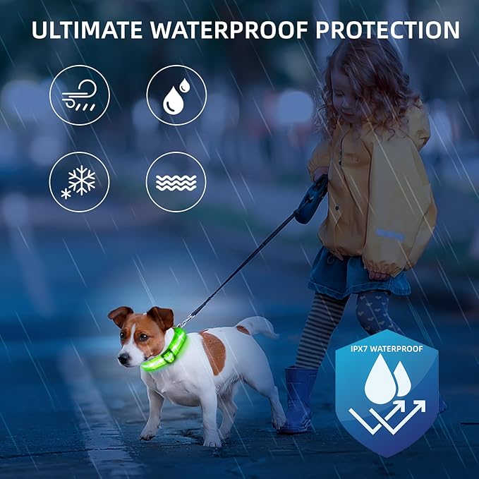 LED Dog Collar for XSmall Dogs & Toy Breeds – USB-C Rechargeable Light Up Dog Collar, Fully Waterproof Adjustable Glow Collar for Night Walking & Safety(Green,XS)