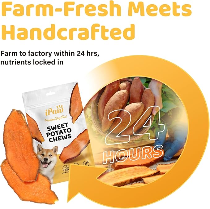 iPaw Sweet Potato Chews, Single Ingredient Dog Treats for Vegetarian, All Natural Human Grade Puppy Chew, Rawhide Alternative, Hypoallergenic, Easy to Digest, 5 Packs
