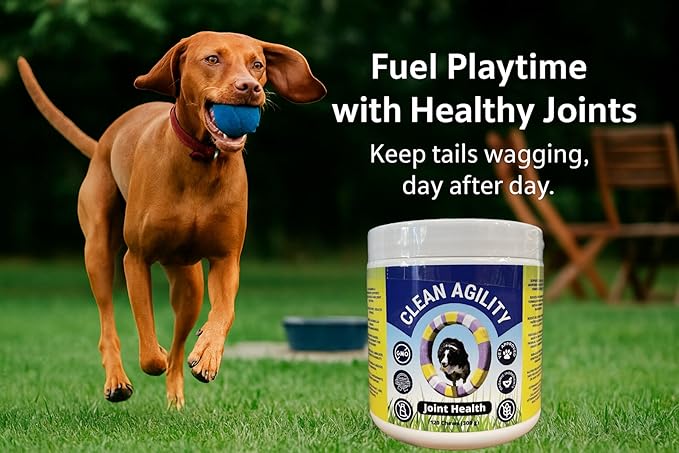 Joint Health for Dogs - Most Effective Hip and Joint Supplement Available - Formulated with Veterinarians, Glucosamine, Chondrointin, MSM, Turmeric (Soft Chew)