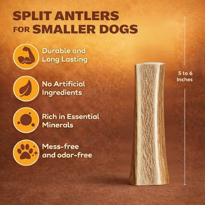 WhiteTail Naturals - Premium Split Elk Antlers for Dogs - (3 Pack Small to Medium) - All Natural, Dog Chew Bones - Naturally Shed, Cruelty-Free, Antler Chews