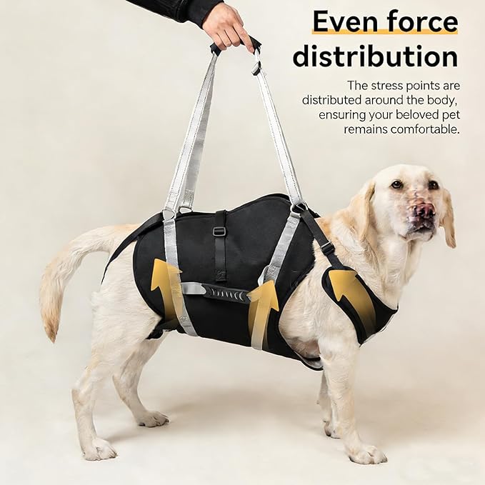 Dog Lift Harness for Senior & Injured Pets, Full Body Support Rehabilitation Dog Sling Carrier with Handles, Front/Rear Leg Assist for Arthritis, Hip Dysplasia & Post-Surgery Recovery XL