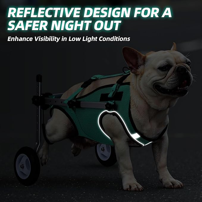Nasjac Dog Wheelchair for Back Legs - Lightweight Portable Wheelchair with Reflective Stripes, Adjustable Pet Wheelchair Cart for Senior, Arthritis, Paralyzed, Injured, or Disabled Dogs