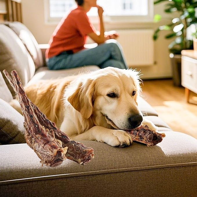 Grass-Fed Beef Tail Bones for Dogs – Durable Chewing Treats, No Additives or Fillers, Supports Teeth & Gum Health,Single Ingredient, Rawhide-Free & Digestible for All Dogs（3 PCS）