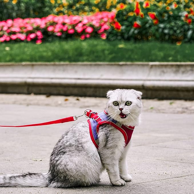 JSXD Cat Harness,Leash and Collar Set,Escape Proof Kitten Vest Harness for Walking,Easy Control Night Safe Pet Harness with Reflective Strap and Bell for Small Large Kitten,Fit for Puppy,Rabbit