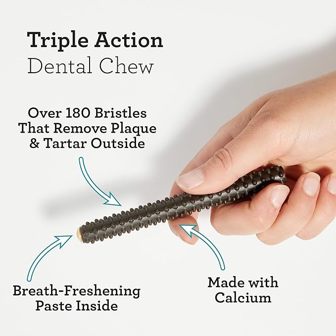 DreamBone Triple Action Dental Sticks Charcoal, 18 Count, Rawhide-Free Chews for Small and Medium Sized Dogs Freshens Breath