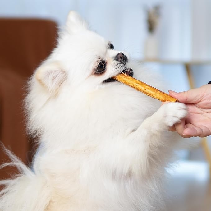 MON2SUN Chicken Collagen Sticks for Dogs, 5 Inch Teeth Cleaning Collagen Chews for Medium Dogs (Chicken Flavored), Healthy Snacks, 10.58oz (15 Count-Pack of 1)