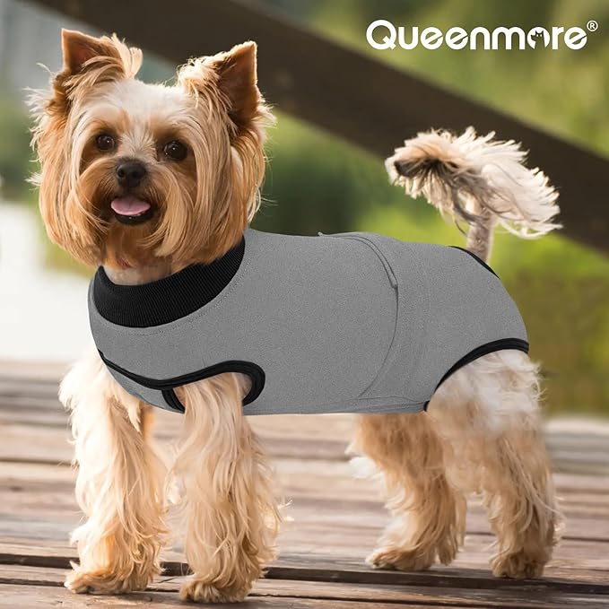 Queenmore Recovery Suit for Dogs Cats After Surgery,Dog Surgical Recovery Suit Onesie,Anti Licking Pet Female Post-Operative Spayed Neutered Puppy Surgical Clothes for Abdominal Wounds, Grey S