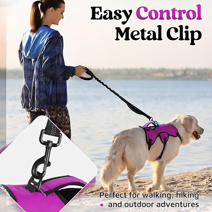 rabbitgoo Escape Proof Dog Harness, Soft Padded Full Body Pet Harness, Reflective Adjustable No Pull Vest with Lift Handle and Lesh Clip for Large Dogs Walking Hiking Training, L, Purple
