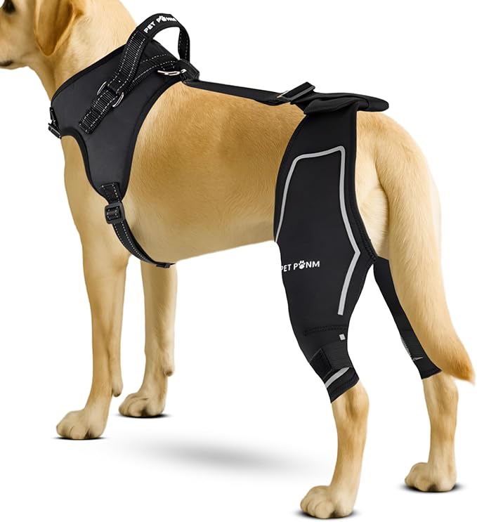 Comfortable Dog Knee Brace for Both Hind Legs with Harness - for ACL Tear, Luxating Patellae, Osteoarthritis & Instability - for Recovery & Injury Prevention in Active/Aging Dogs - (Large)