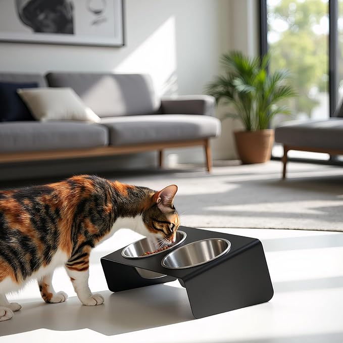 xympo Elevated Pet Bowl, for Cats and Small Dogs
