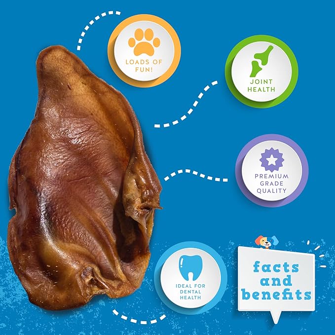 Jack&Pup Whole Pig Ears for Dogs - All Natural Single Ingredient Extra Thick Large Pigs Ears - Premium Dog Pig Ear Treats - Natural Dog Pork Chews; Excellent Rawhide Alternative (10 Pack)