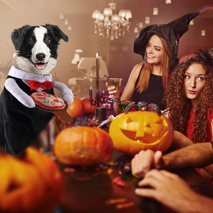 NACOCO Dog Halloween Waiter Costume - Pet Pizza Outfit Cute Funny Cosplay Clothes Apparel with Pizza Party Holiday for Small Medium and Large Dogs Cats(Black, XS)