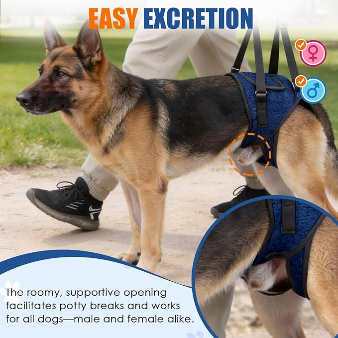 SlowTon Dog Lift Harness - Adjustable Dog Sling for Medium Large Dogs, Hind Leg Support to Help Rehabilitate, Soft Padded Dog Support Harness for Elderly, Injured, Arthritic, Disabled Dogs(BL,L)