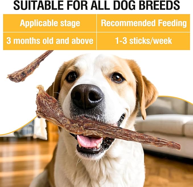 Grass-Fed Beef Tail Bones for Dogs – Durable Chewing Treats, No Additives or Fillers, Supports Teeth & Gum Health,Single Ingredient, Rawhide-Free & Digestible for All Dogs（3 PCS）
