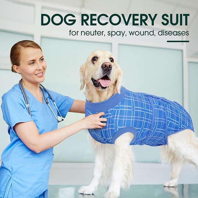 Kuoser Dog Recovery Suit for Female Male Dogs, Post-Surgery Bodysuit for Spay Neuter, Dog Onesie After Surgery, Anti-Licking Pet Surgical Recovery Suit, Blue XL