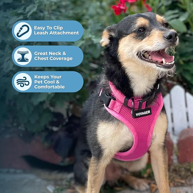 Best Pet Supplies Voyager Step-in Lock Pet Harness w Reflective Pet Leash Combo Set with Neoprene Handle 5ft - Supports Small, Medium and Large Breed Puppies/Cats - Fuchsia, XS