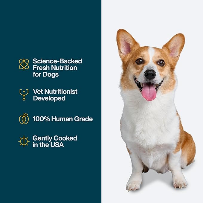 JustFoodForDogs JustFresh Wet Dog Food, Fresh Pet Meals and Toppers with No Preservatives, Resealable Package, Human Grade, Home-Cooked Beef & Chicken, 12 oz - 8 Pack
