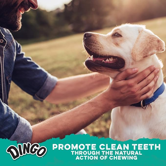 Dingo Dental Sticks 48 Count, Natural Chewing Action Helps Clean Teeth