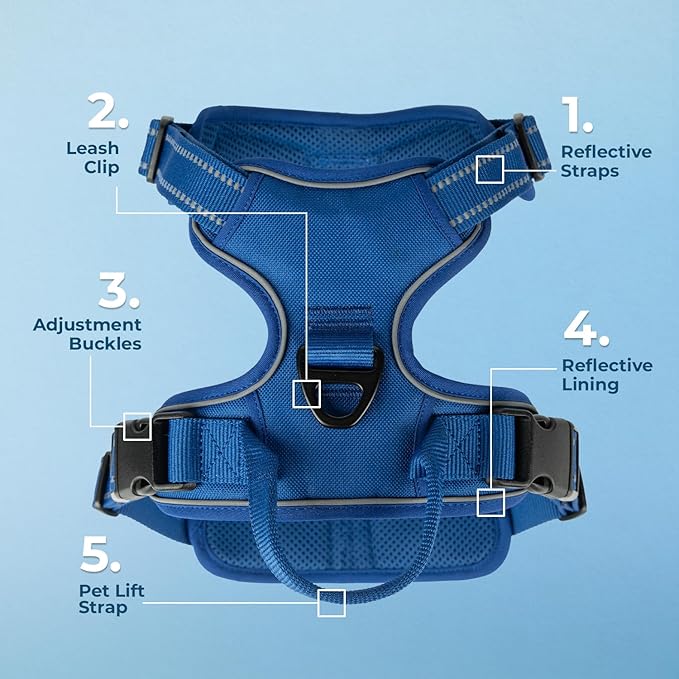 Voyager Dog Harness Dual Leash Attachment No-Pull Control Adjustable Soft but Strong Pet Harness for Medium and Large Dogs with 3M Reflective Technology, Royal Blue Lattice Nylon, XL (Chest: 28-37")